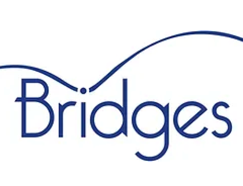 Training with  Bridges Family and Carer Service